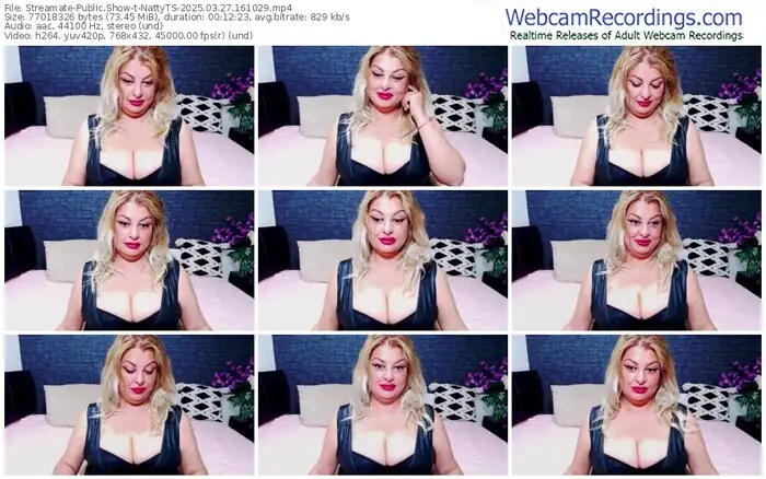 2025/03/27/streamate-nattyts-16-10-29