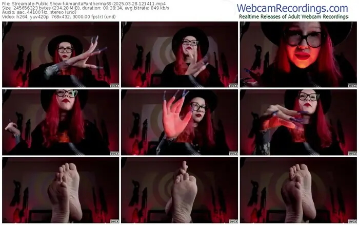 2025/03/28/streamate-amanitapantherina69-12-14-11