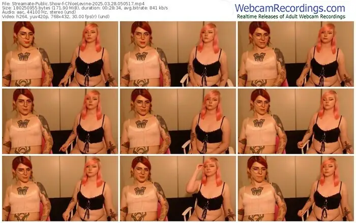 2025/03/28/streamate-chloelevine-05-05-17