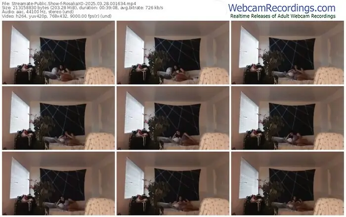 2025/03/28/streamate-rosaliaxo-00-16-34