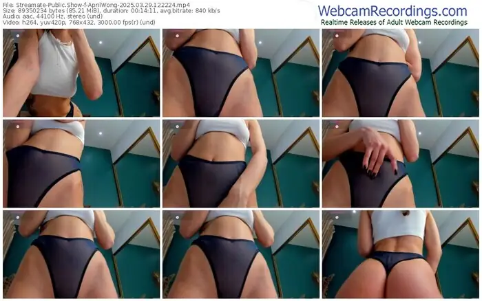 2025/03/29/streamate-aprilwong-12-22-24