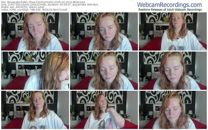 2025/03/29/streamate-sinfultitsdd-21-48-28