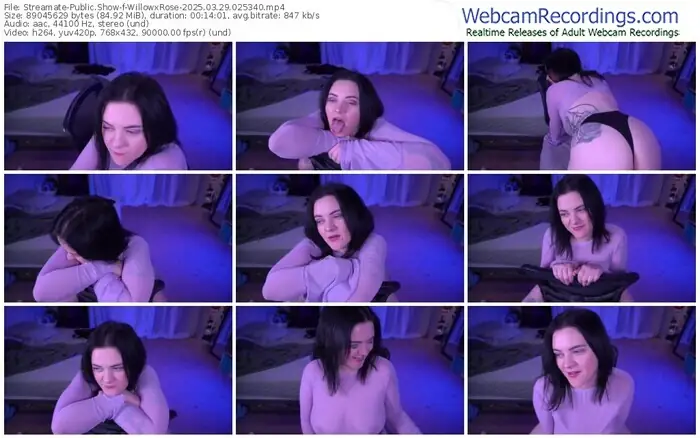 2025/03/29/streamate-willowxrose-02-53-40