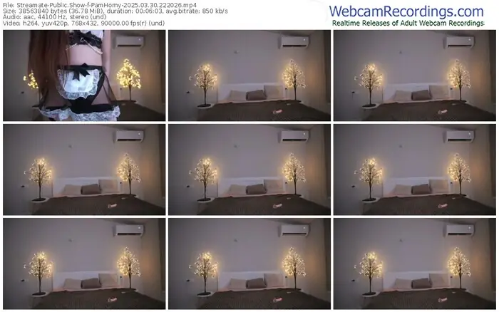 2025/03/30/streamate-pamhorny-22-20-26