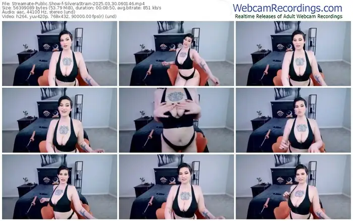 2025/03/30/streamate-silverastrain-06-01-46