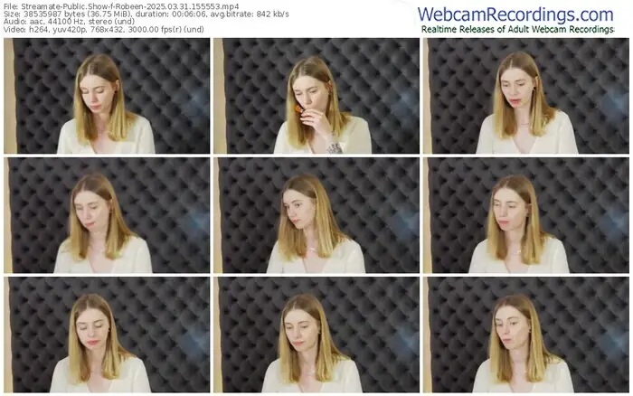 2025/03/31/streamate-robeen-15-55-53