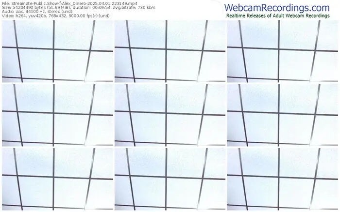 2025/04/01/streamate-alex_dinero-22-31-49