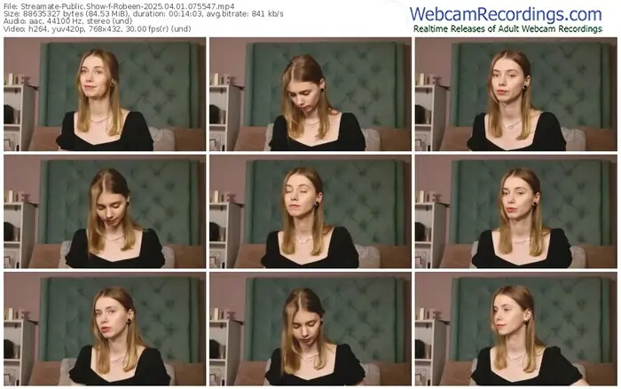 2025/04/01/streamate-robeen-07-55-47