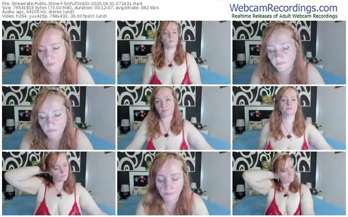 2025/04/01/streamate-sinfultitsdd-07-24-31