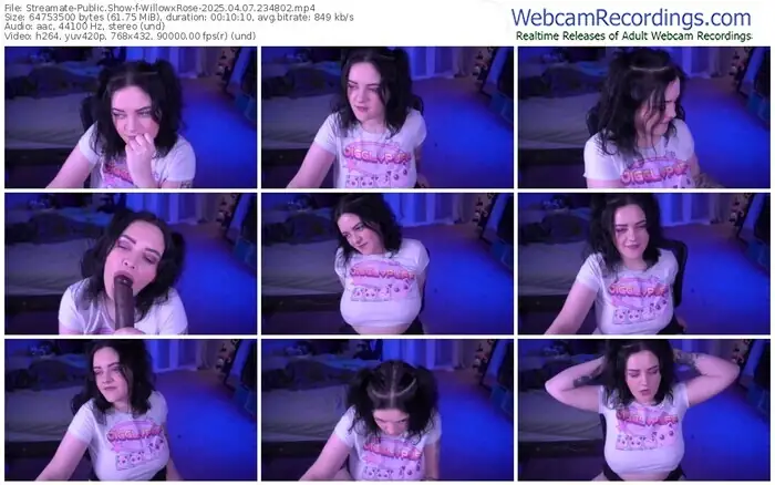 2025/04/07/streamate-willowxrose-23-48-02