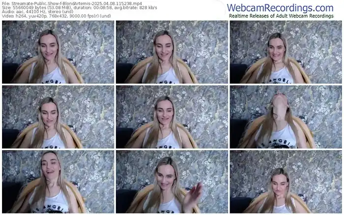 2025/04/08/streamate-blondartemis-11-52-38