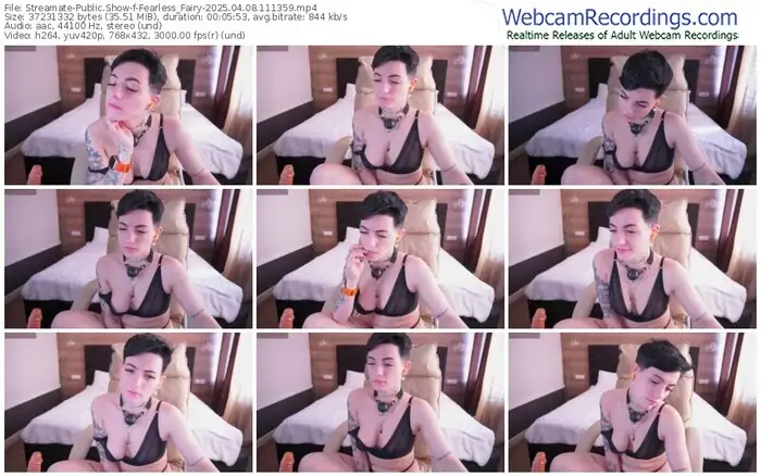 2025/04/08/streamate-fearless_fairy-11-13-59