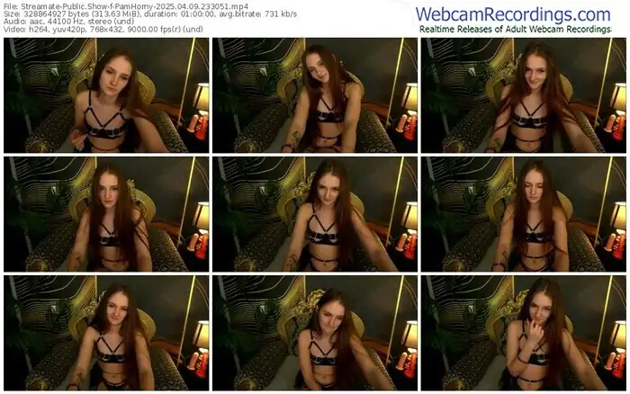2025/04/09/streamate-pamhorny-23-30-51