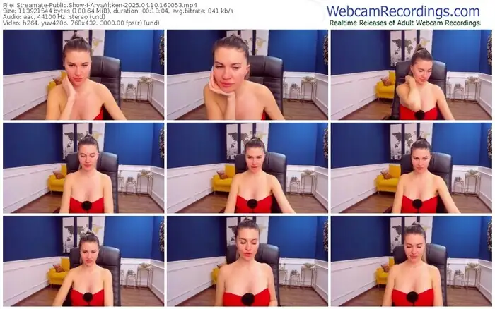 2025/04/10/streamate-aryaaltken-16-00-53