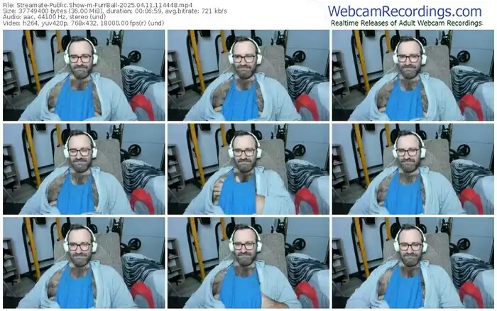2025/04/11/streamate-furrball-11-44-48