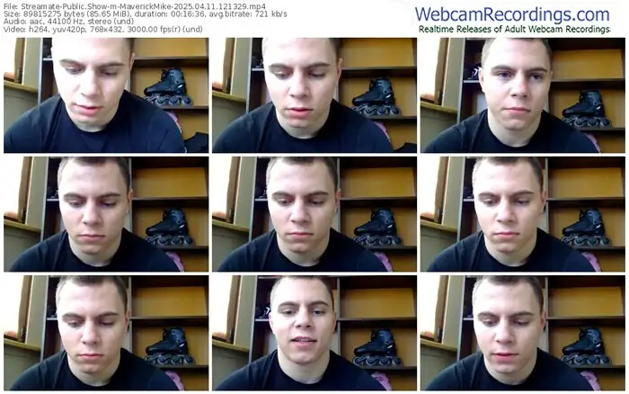 2025/04/11/streamate-maverickmike-12-13-29