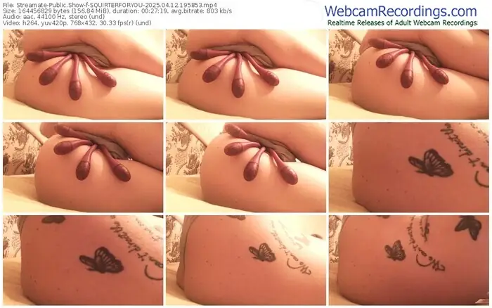 2025/04/12/streamate-squirterforyou-19-58-53