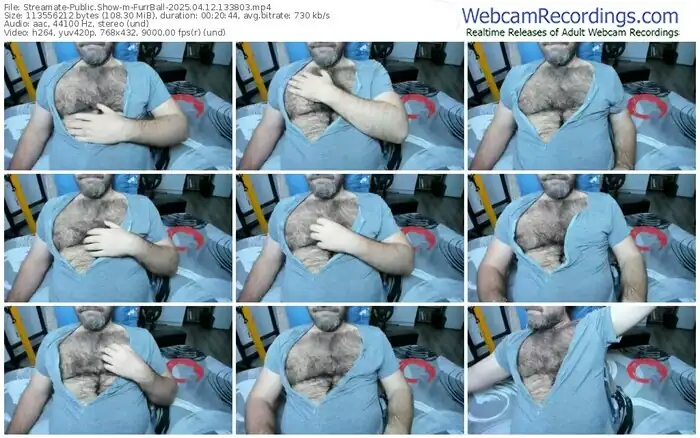 2025/04/12/streamate-furrball-13-38-03