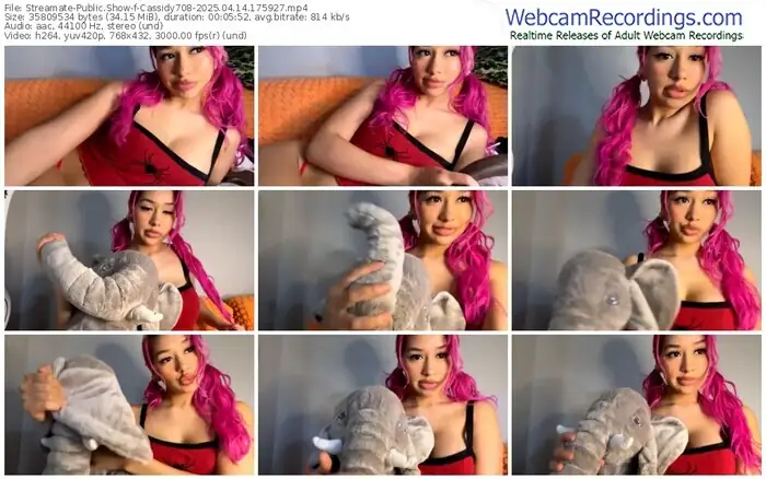 2025/04/14/streamate-cassidy708-17-59-27