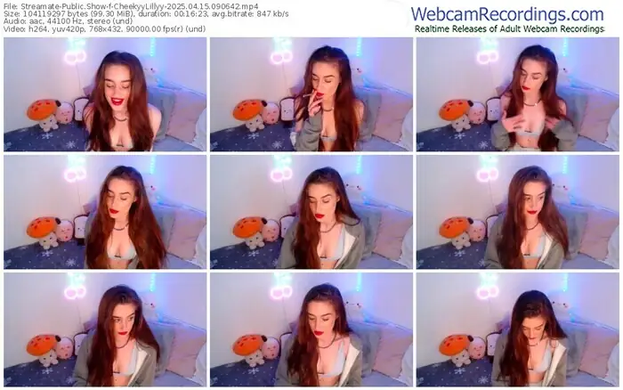 2025/04/15/streamate-cheekyylillyy-09-06-42