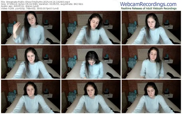 2025/04/16/streamate-holliyms-14-29-03