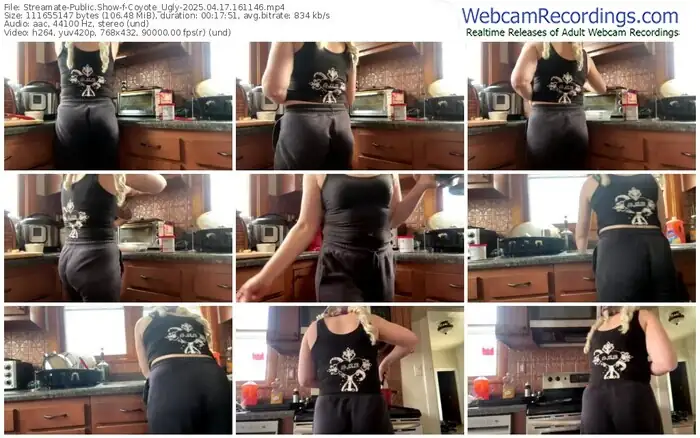 2025/04/17/streamate-coyote_ugly-16-11-46