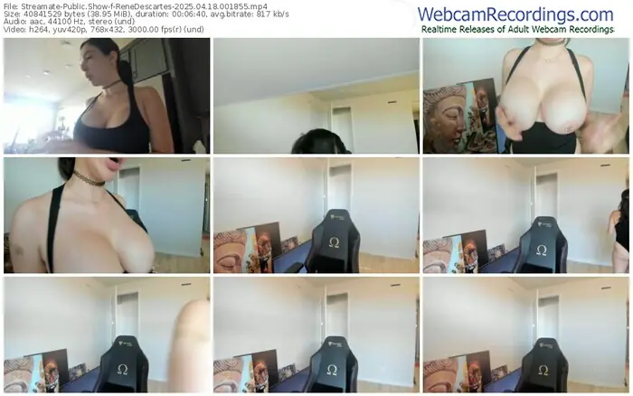 2025/04/18/streamate-renedescartes-00-18-55