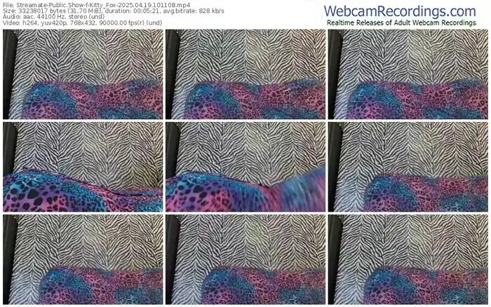 2025/04/19/streamate-kitty_fox-10-11-08