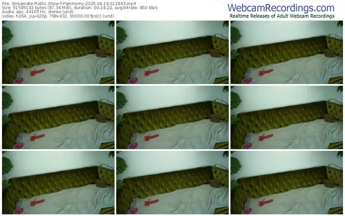 2025/04/19/streamate-pamhorny-01-18-43