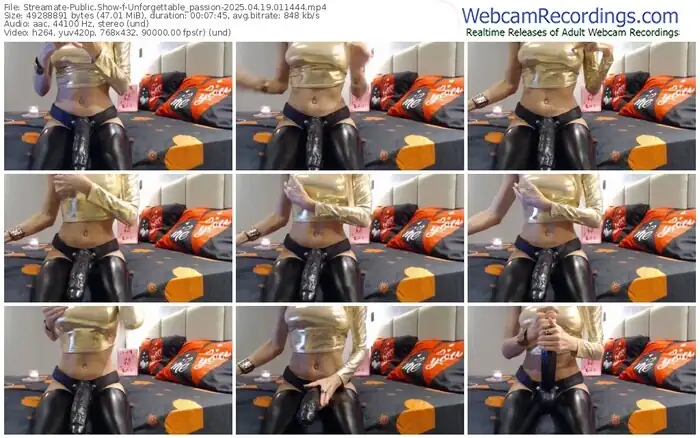 2025/04/19/streamate-unforgettable_passion-01-14-44