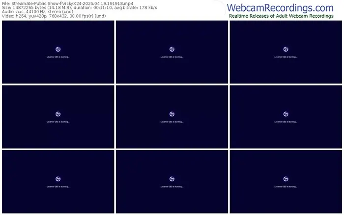 2025/04/19/streamate-vickyx24-19-19-18