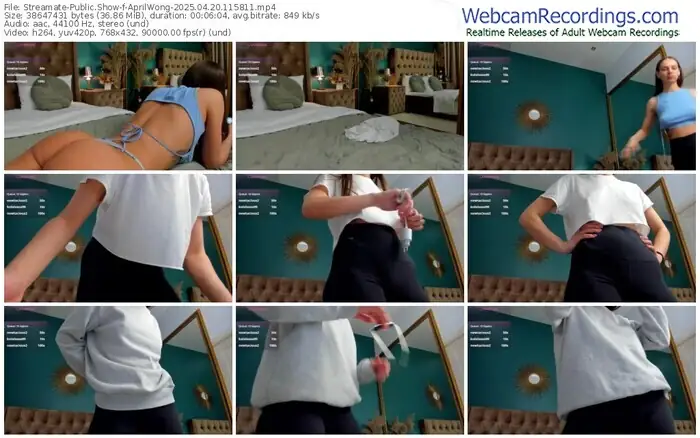 2025/04/20/streamate-aprilwong-11-58-11
