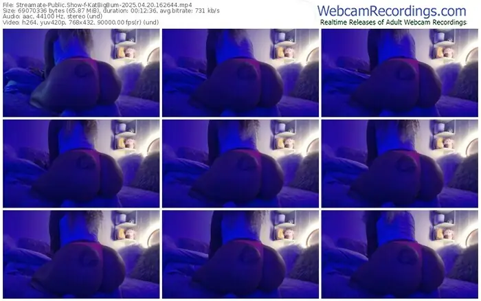 2025/04/20/streamate-katbigbum-16-26-44