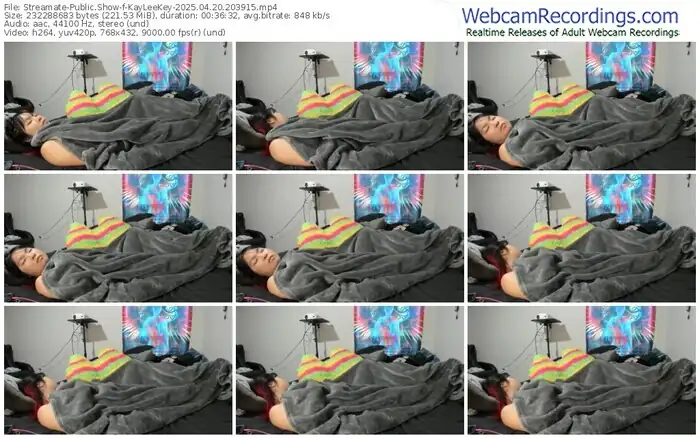 2025/04/20/streamate-kayleekey-20-39-15