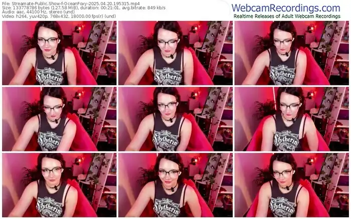 2025/04/20/streamate-oceanfoxy-19-53-15