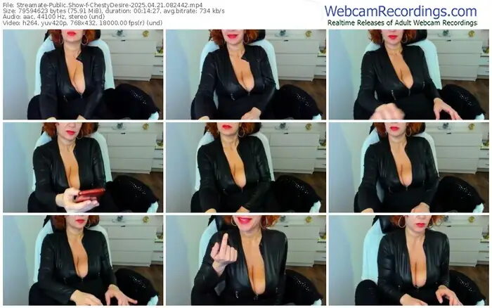 2025/04/21/streamate-chestydesire-08-24-42