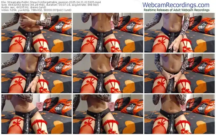 2025/04/21/streamate-unforgettable_passion-01-53-05