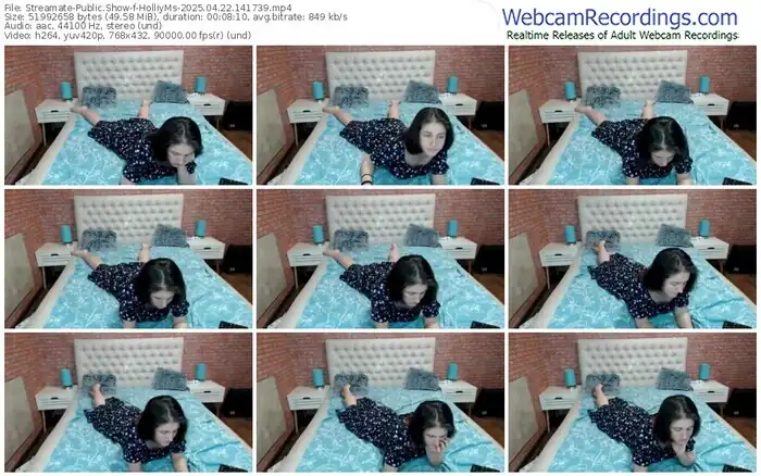 2025/04/22/streamate-holliyms-14-17-39