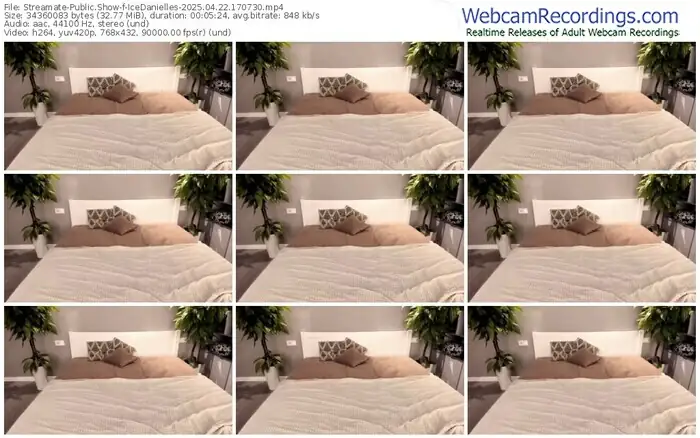 2025/04/22/streamate-icedanielles-17-07-30