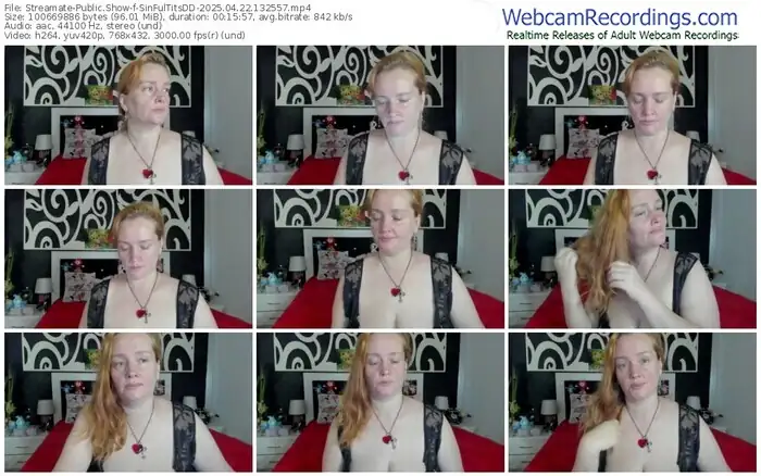 2025/04/22/streamate-sinfultitsdd-13-25-57