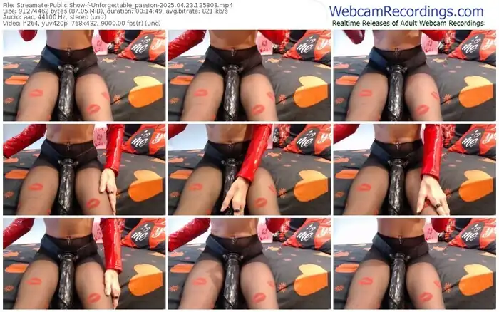 2025/04/23/streamate-unforgettable_passion-12-58-08