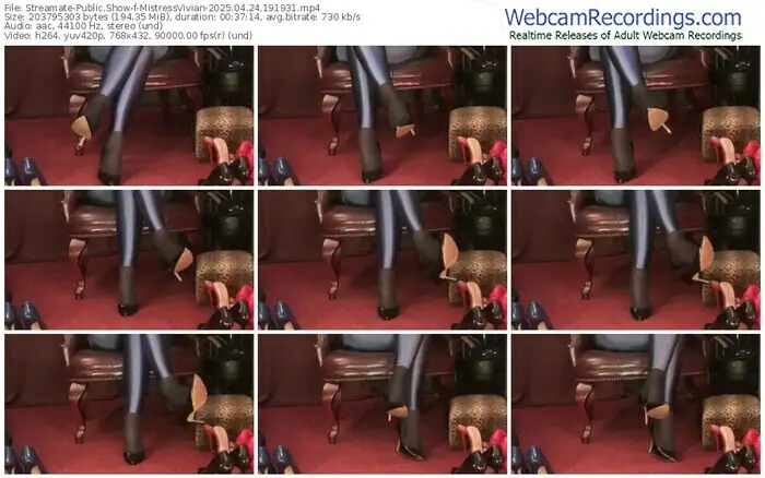 2025/04/24/streamate-mistressvivian-19-19-31