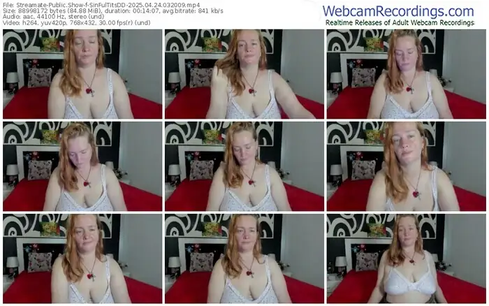 2025/04/24/streamate-sinfultitsdd-03-20-09