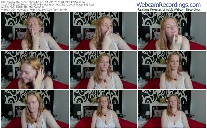 2025/04/24/streamate-sinfultitsdd-04-22-52