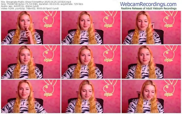 2025/04/25/streamate-annetmur-10-33-16