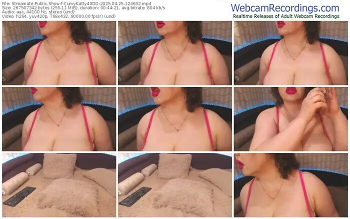 2025/04/25/streamate-curvykatty40dd-12-46-32