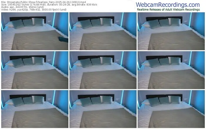 2025/04/26/streamate-fearless_fairy-13-09-10