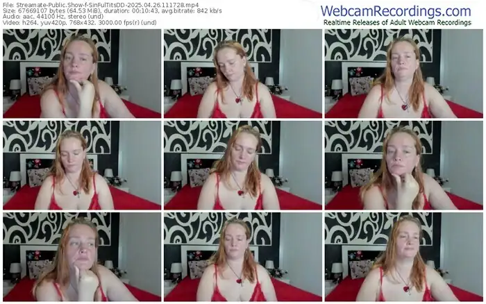 2025/04/26/streamate-sinfultitsdd-11-17-28