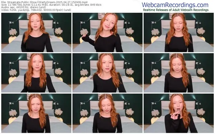 2025/04/27/streamate-martydream-15-29-09