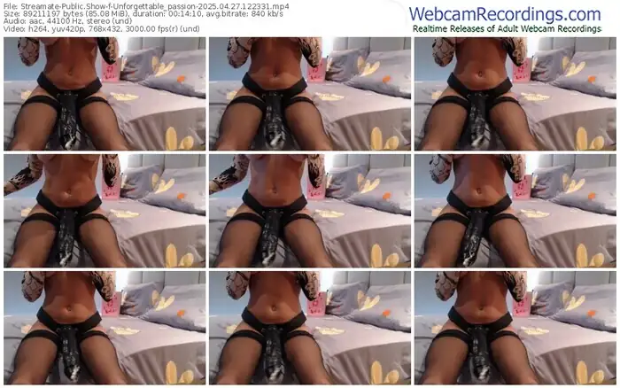 2025/04/27/streamate-unforgettable_passion-12-23-31